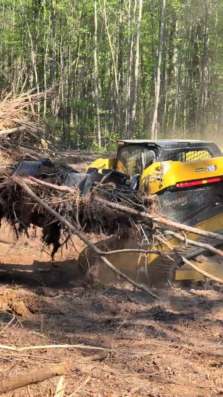 Forestry Mulching by Black Oak Land Clearing