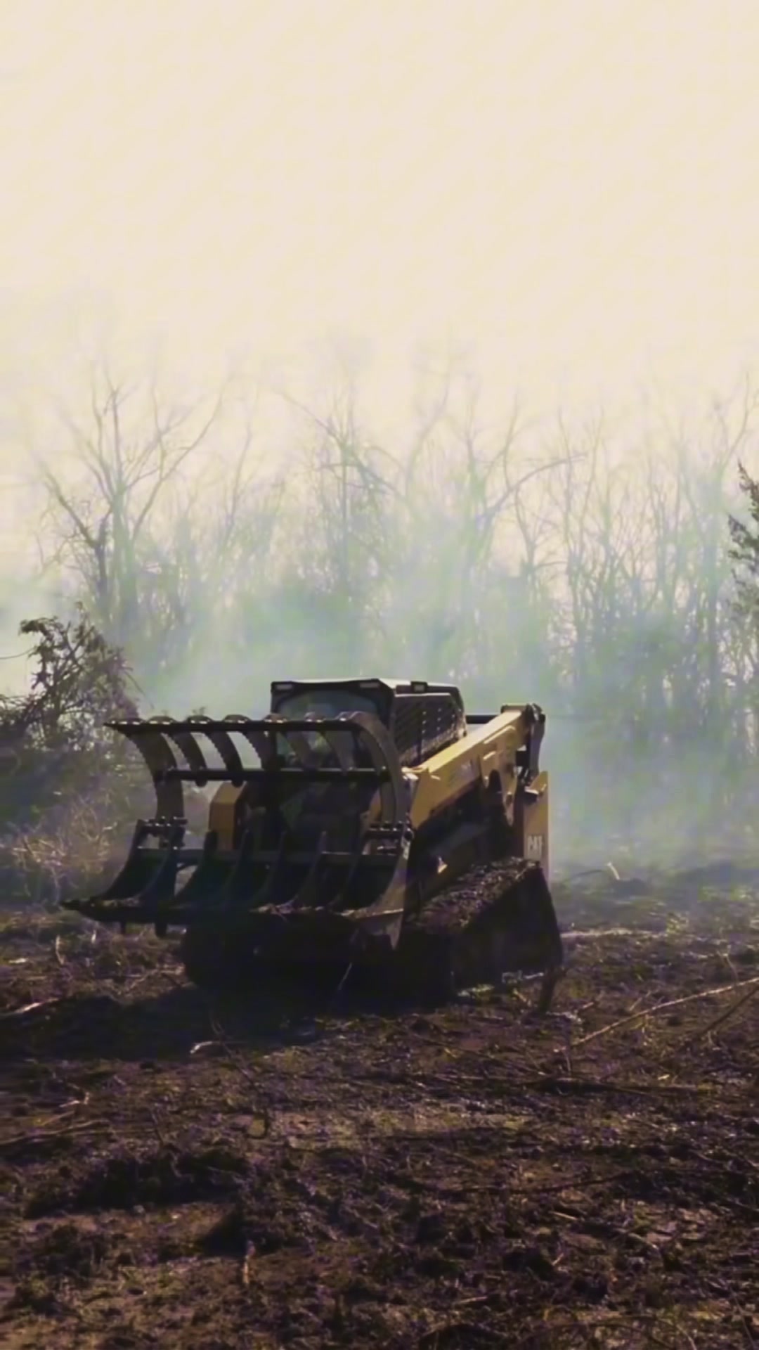 tree removal work by Black Oak Land Clearing